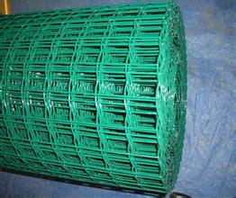 供應(yīng)全壯絲徑50絲工藝品電焊網(wǎng)