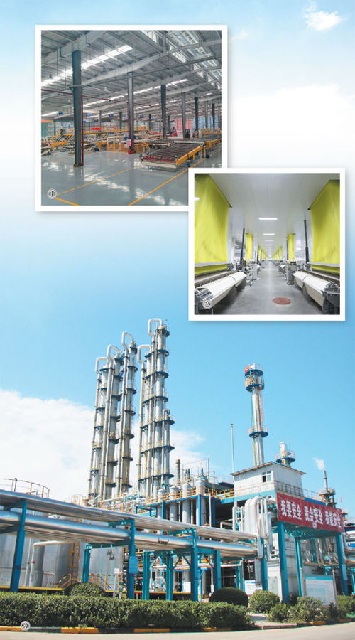 綠色轉(zhuǎn)型賦能產(chǎn)業(yè)新生 以技術推廣深入推進新型工業(yè)化的深度觀察