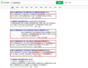 山東鼎基信息技術 賦能臨沂企業(yè)數(shù)字化發(fā)展的綜合服務專家